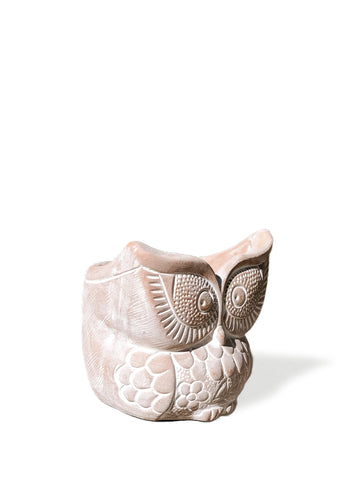 Terracotta Pot - Big Eye Owl in - photo