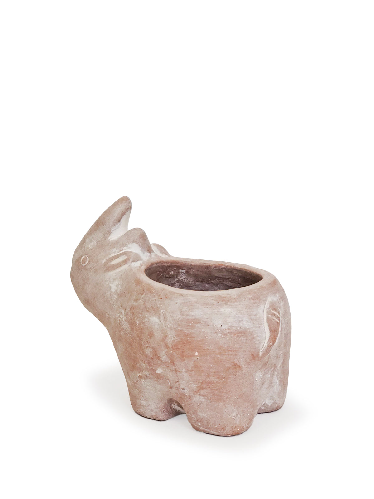 Terracotta Pot - Rhino in - photo