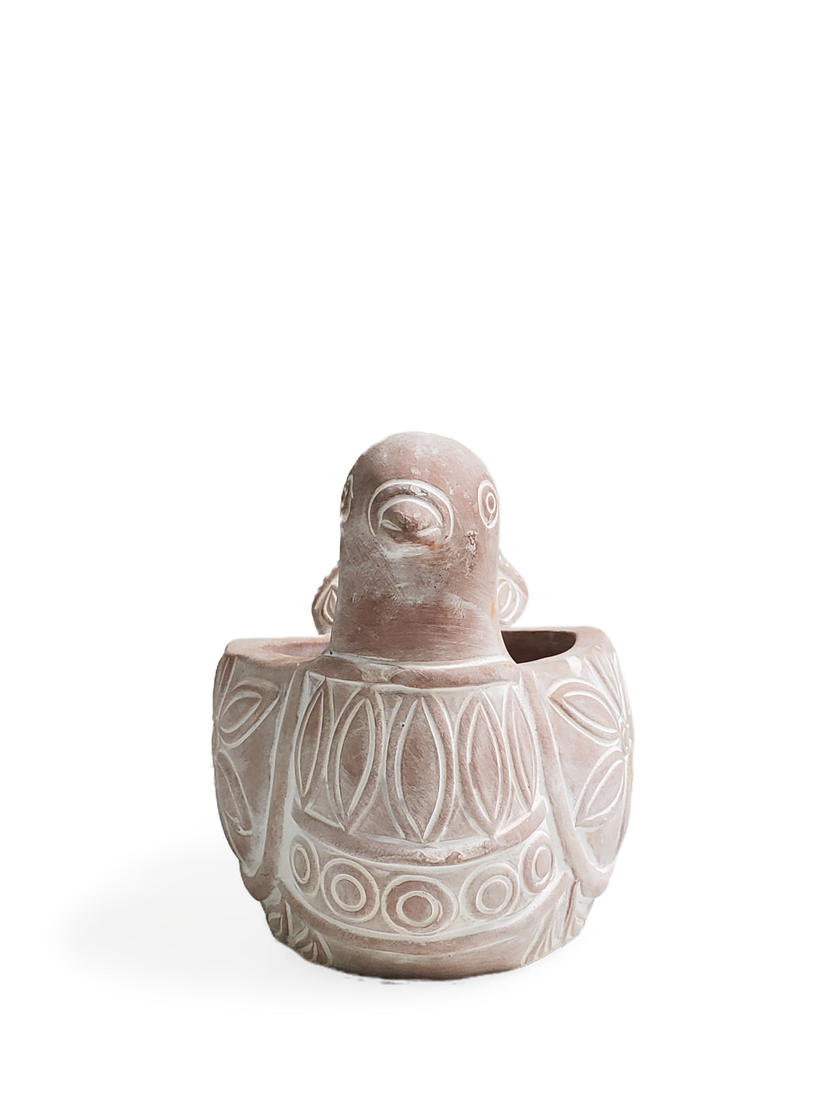 Terracotta Pot - Spotted Dove in - PLANT DECOR photo