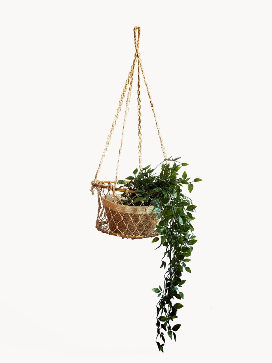 Jhuri Single Hanging Basket in - PLANT DECOR photo