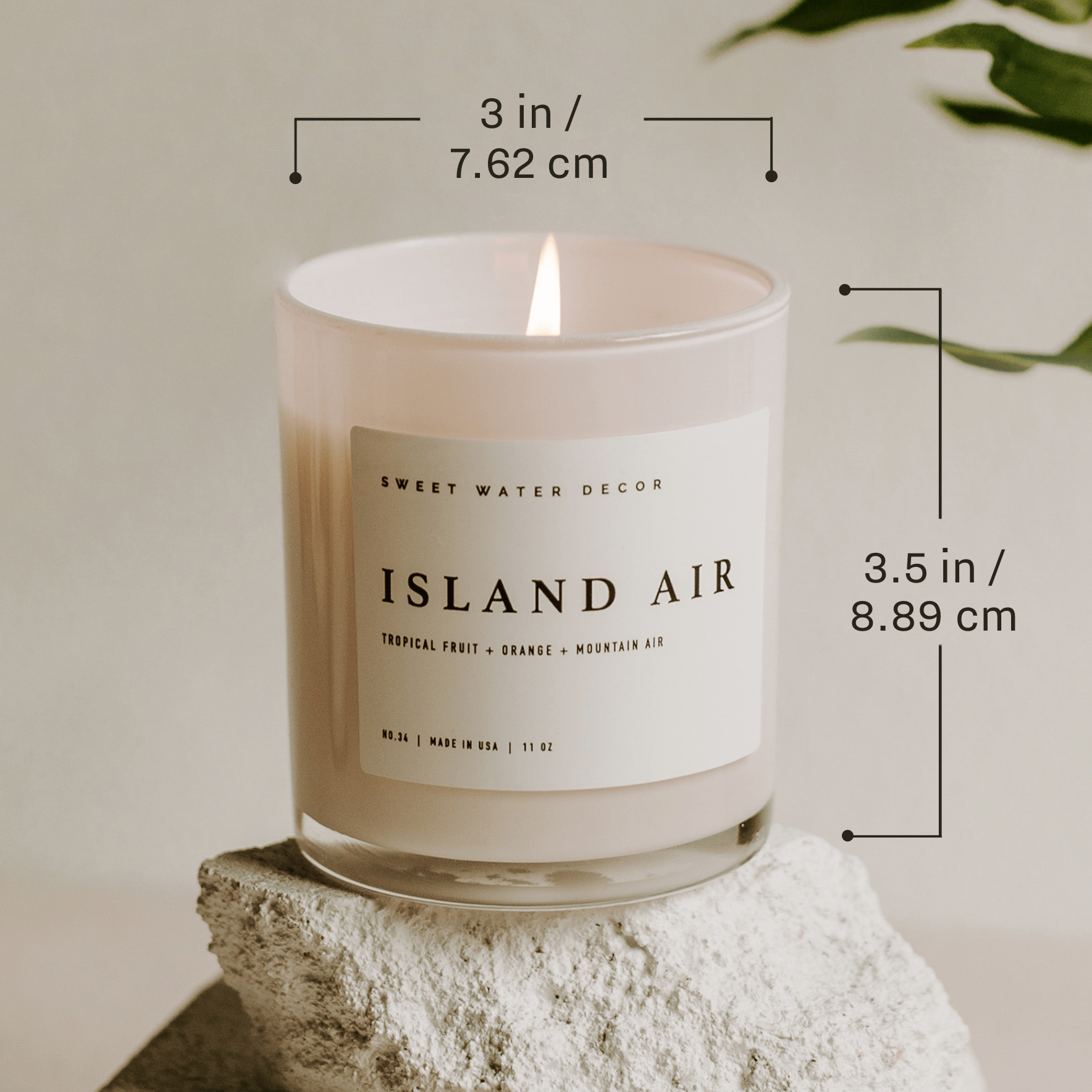 Blackwood Cherry Soy Candle - White Jar - 11 oz in - Candles photo