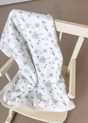 Gray Raccoon Baby Blanket