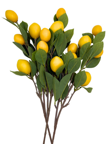 Artificial Lemon Stems - Bundle of 3 in - Florals photo