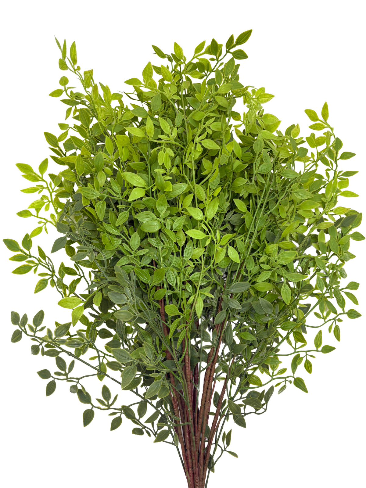 Artificial Italian Ruscus Stems - Bundle of 4 in - Florals photo
