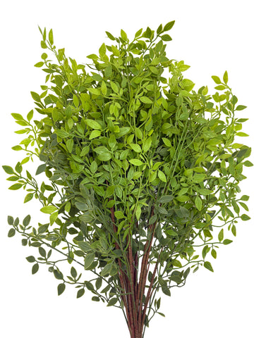 Artificial Italian Ruscus Stems - Bundle of 4 in - Florals photo