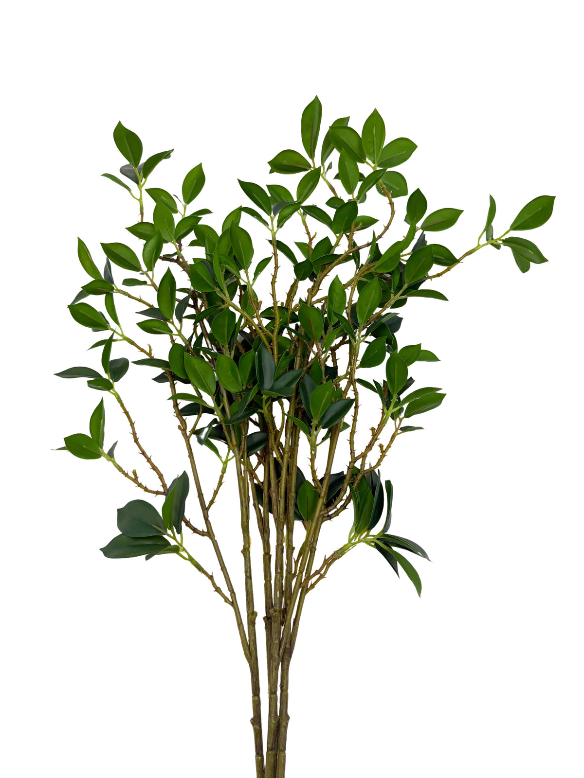Real Touch Fiscus Microcarpa Stem - Bundle of 4 Stems in - Florals photo