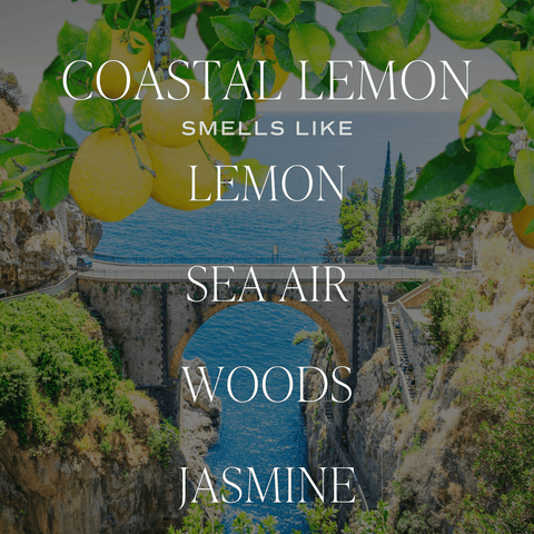 Coastal Lemon Clear Reed Diffuser