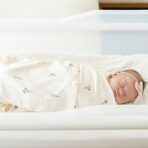 MINKY STRETCH LUXE SWADDLE/BLANKET in Floral - photo