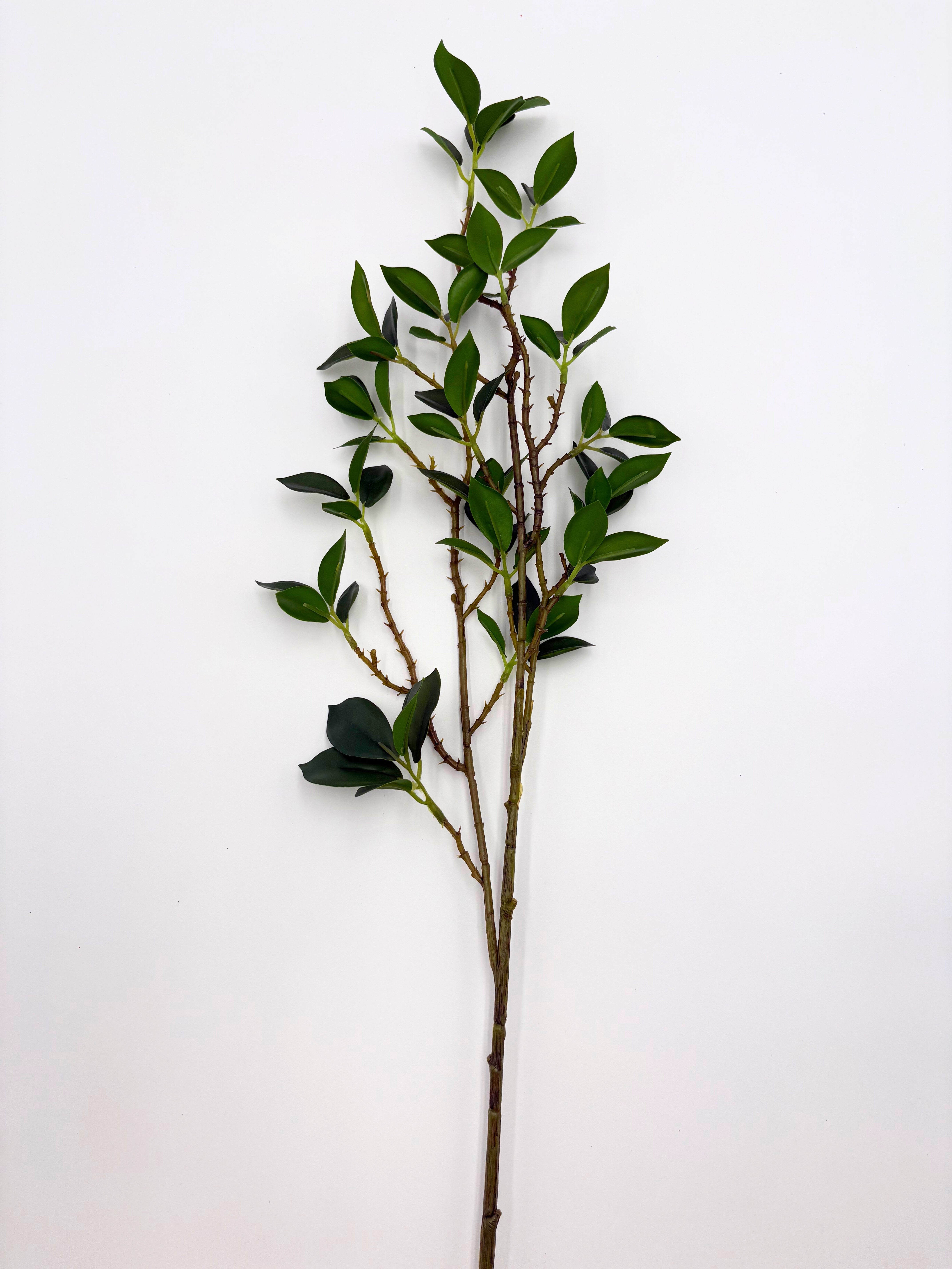 Real Touch Fiscus Microcarpa Stem - Bundle of 4 Stems in - Florals photo