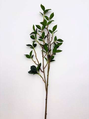 Real Touch Fiscus Microcarpa Stem - Bundle of 4 Stems in - Florals photo