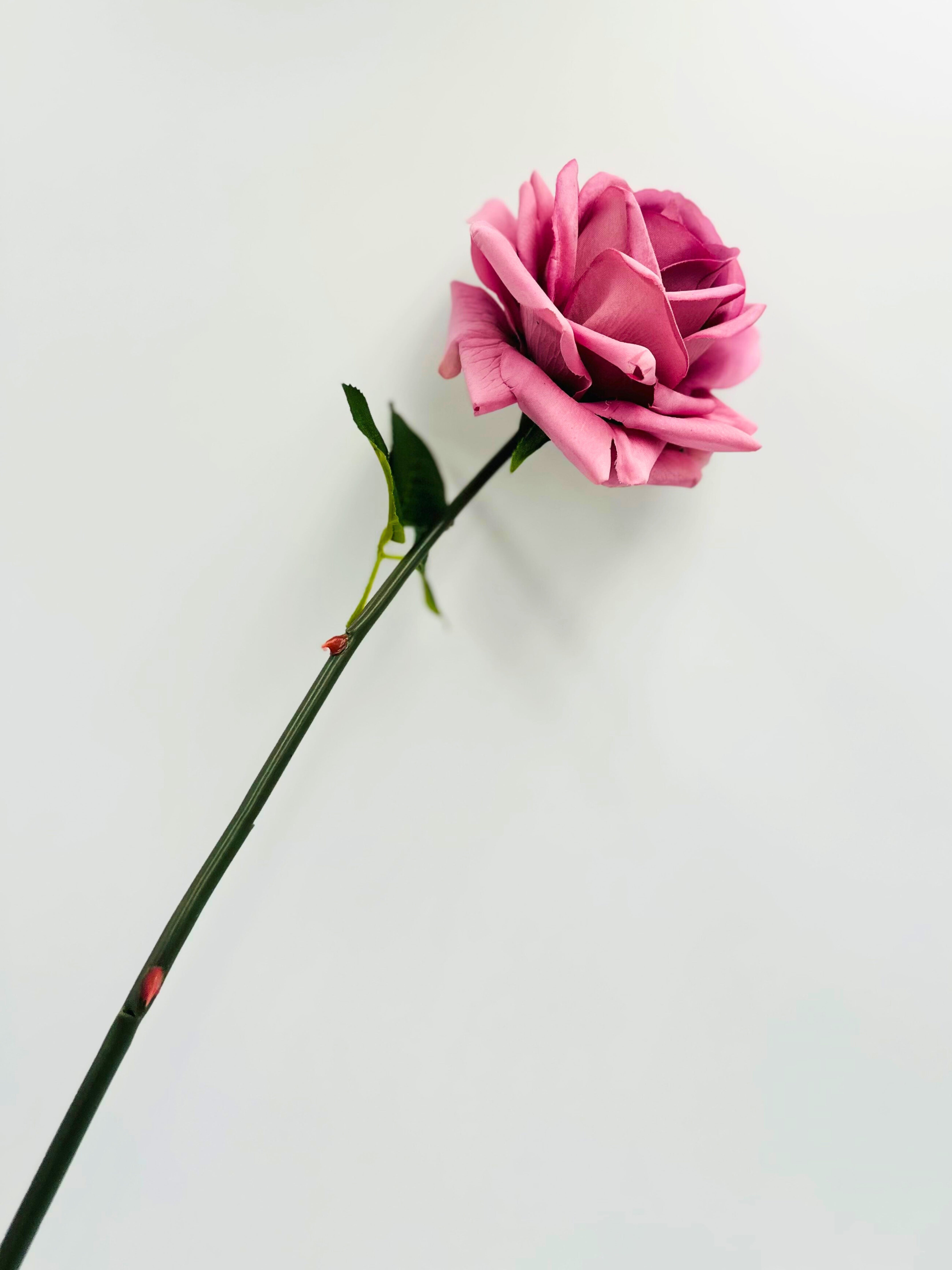 Artificial Real Touch Roses - Bundle of 10 in - Florals photo