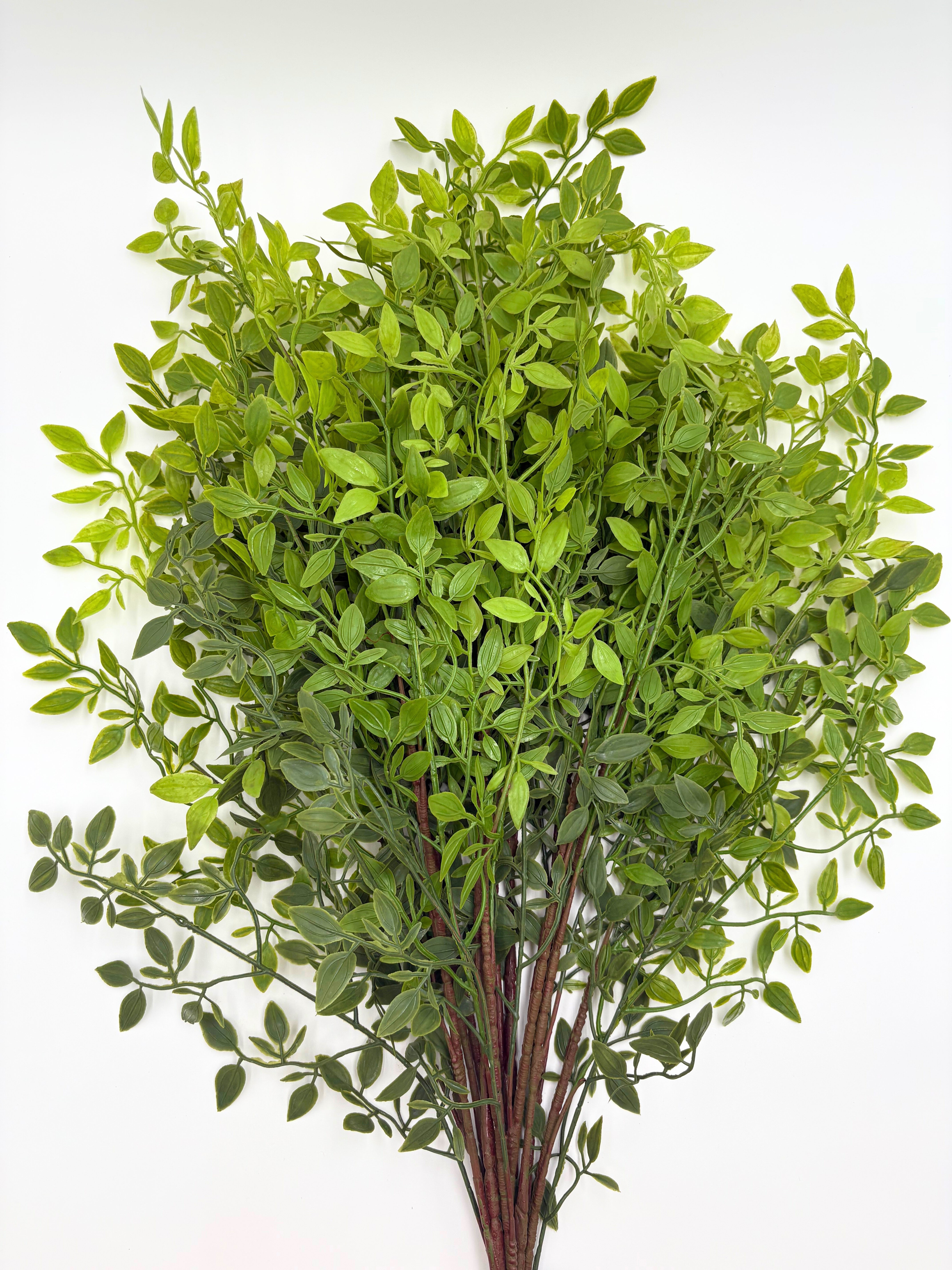 Artificial Italian Ruscus Stems - Bundle of 4 in - Florals photo