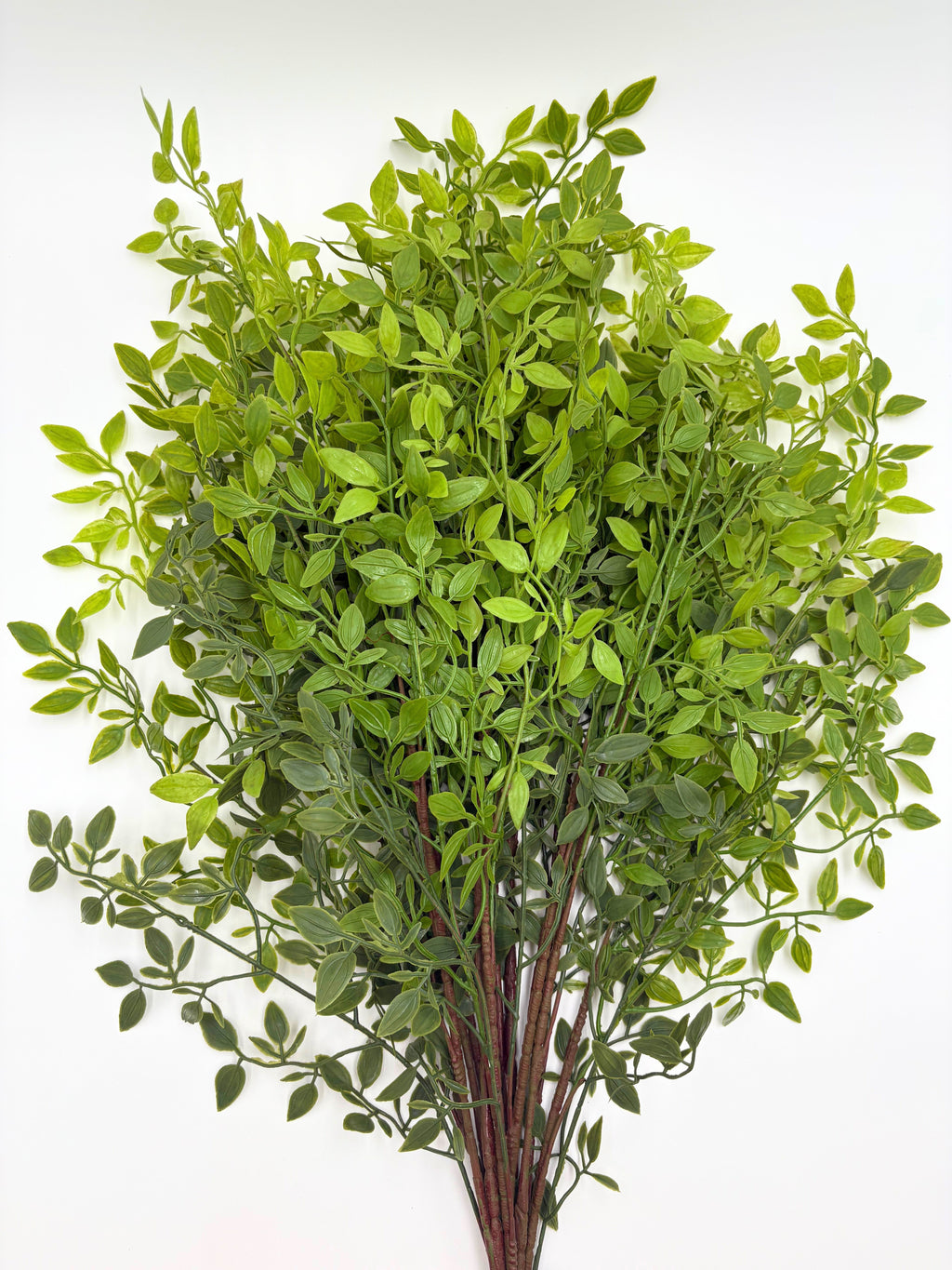 Artificial Italian Ruscus Stems - Bundle of 4 in - Florals photo