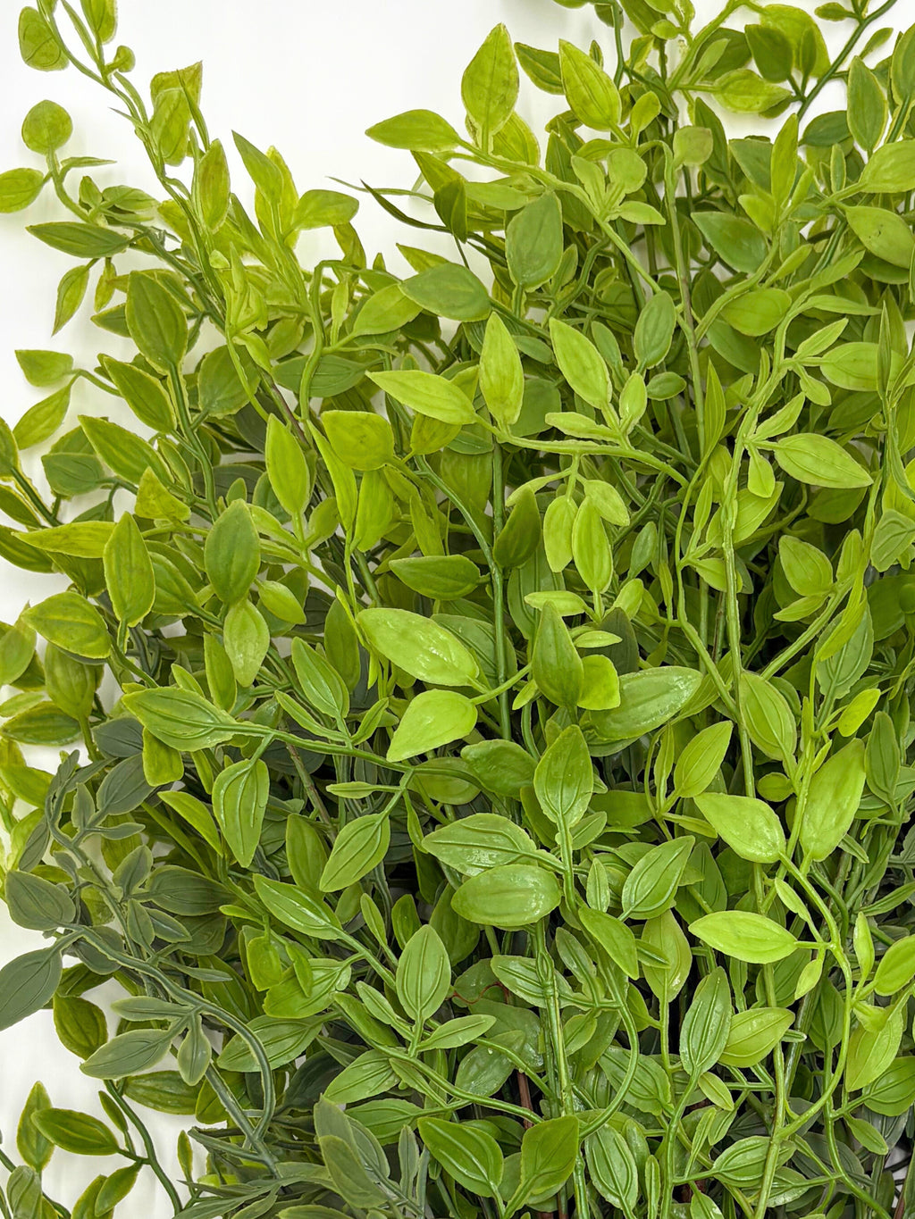 Artificial Italian Ruscus Stems - Bundle of 4 in - Florals photo