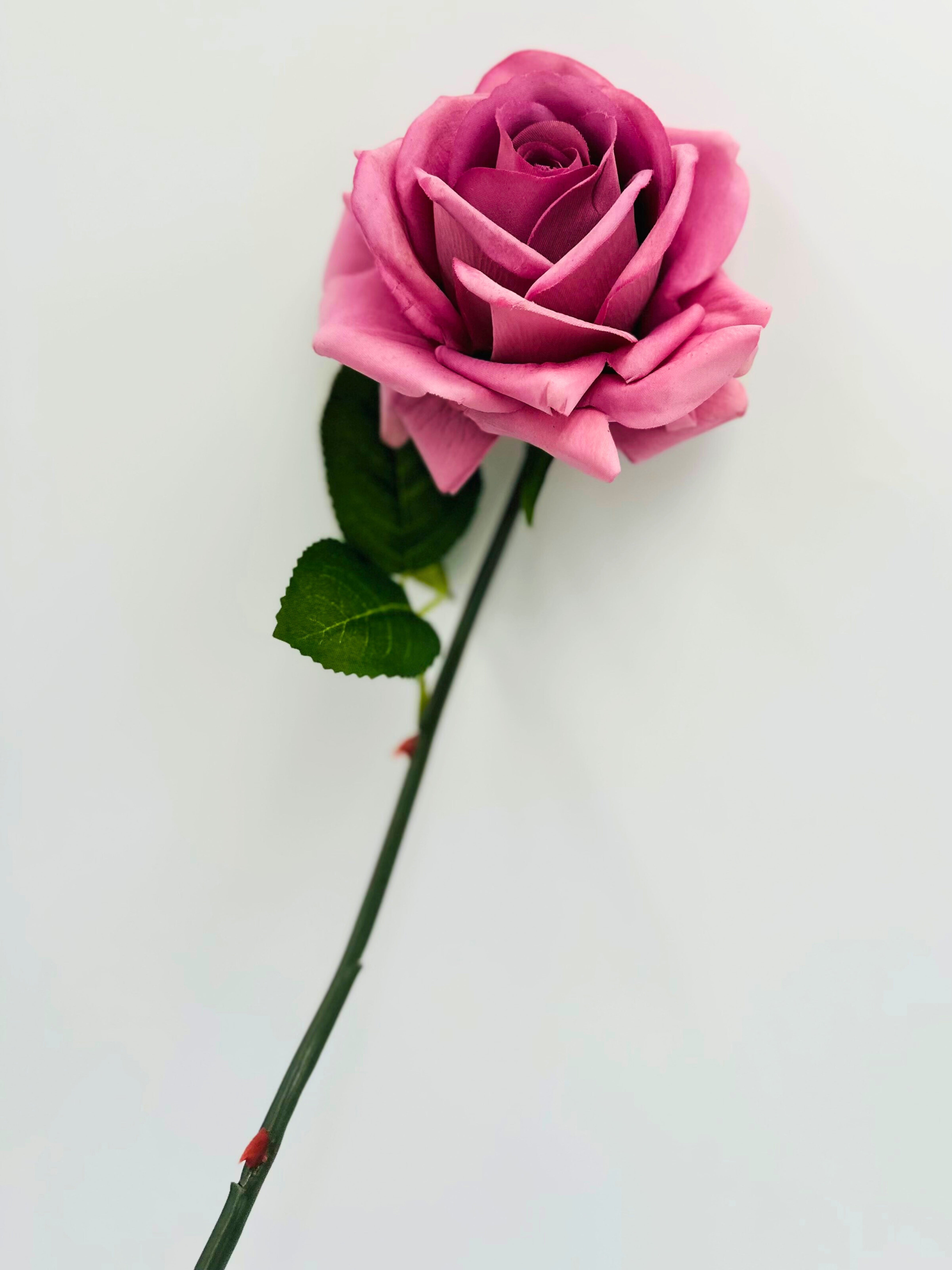 Artificial Real Touch Roses - Bundle of 10 in - Florals photo