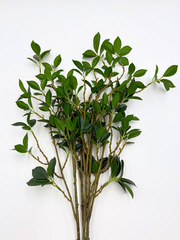 Real Touch Fiscus Microcarpa Stem - Bundle of 4 Stems in - Florals photo