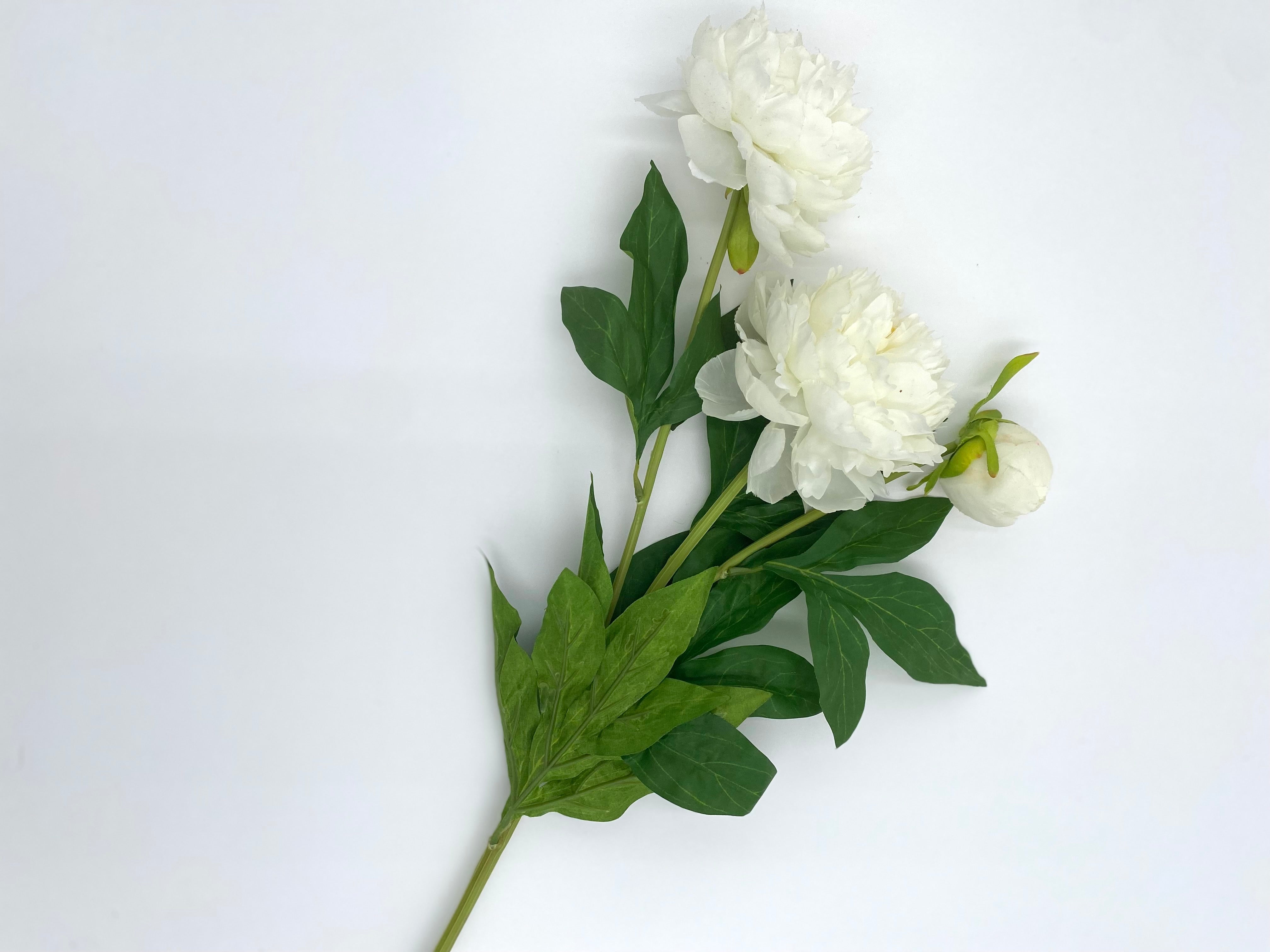Realistic Artificial Peony - Bundle of 3 in - Florals photo