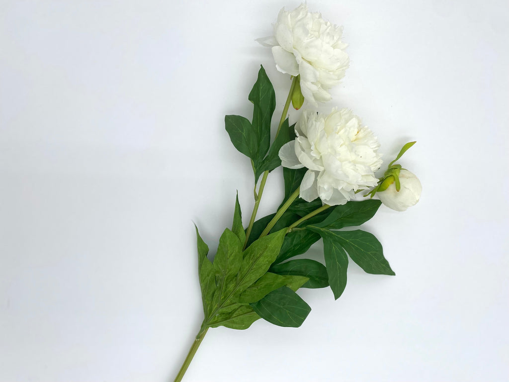 Realistic Artificial Peony - Bundle of 3 in - Florals photo