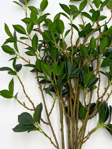 Real Touch Fiscus Microcarpa Stem - Bundle of 4 Stems in - Florals photo