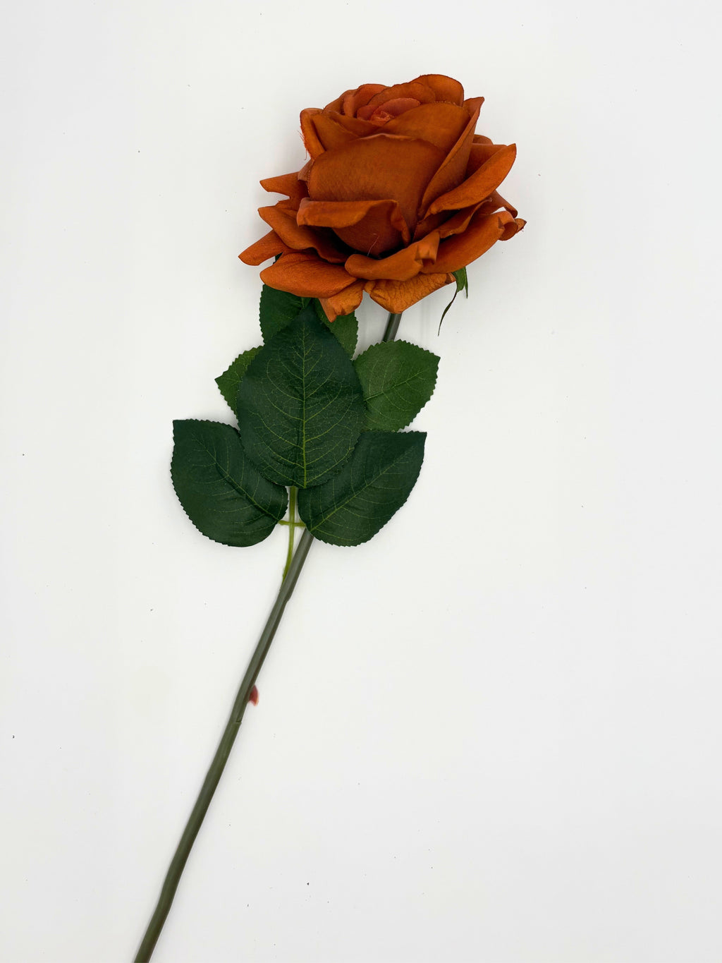 Artificial Real Touch Roses - Bundle of 10 in - Florals photo