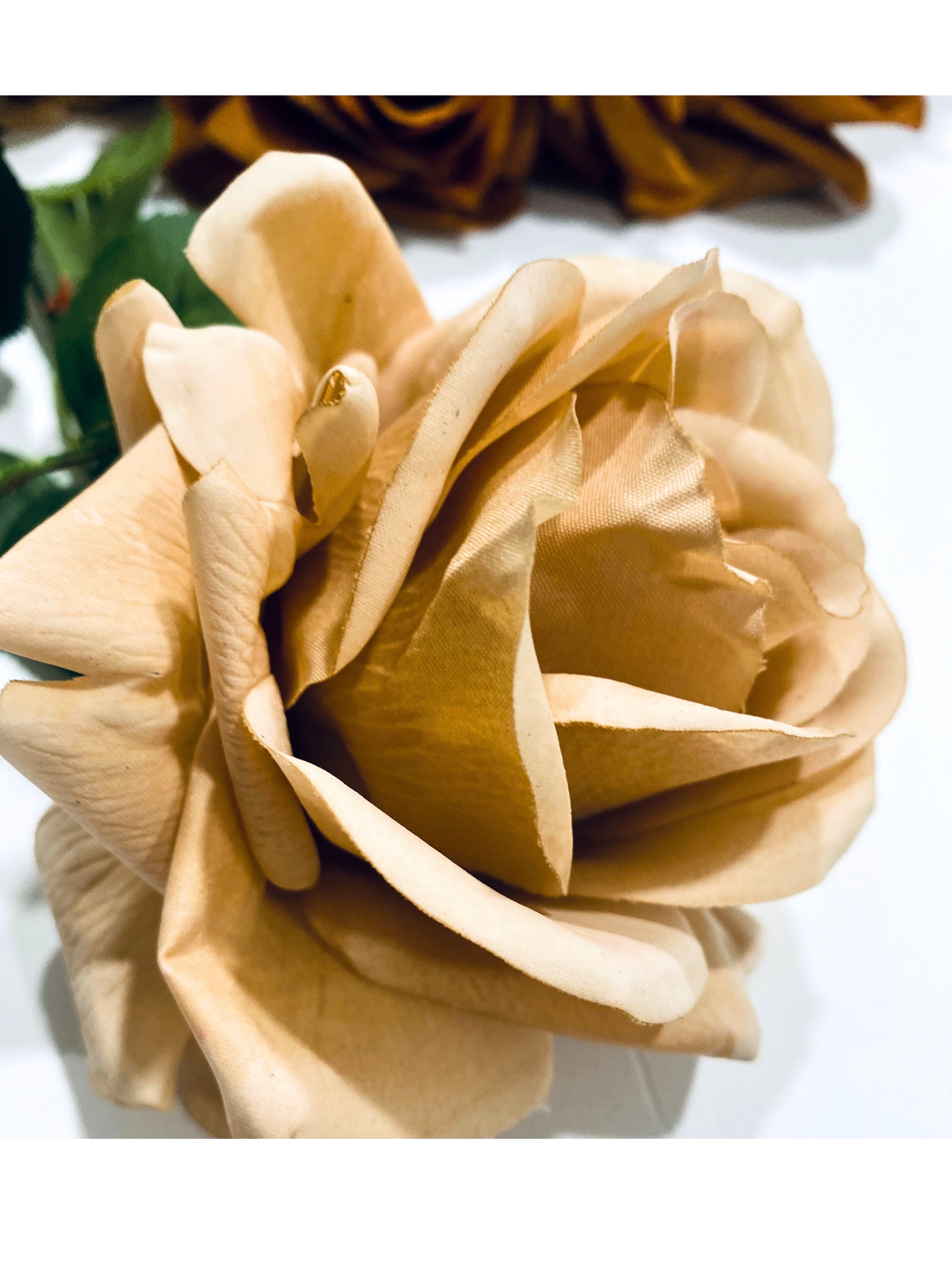 Artificial Real Touch Roses - Bundle of 10 in - Florals photo