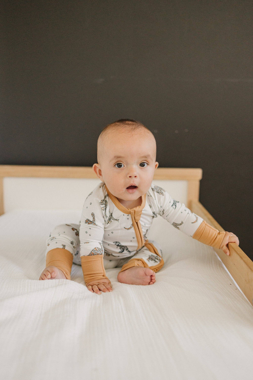 Mummy-Saurus Rex Bamboo Sleeper in - photo