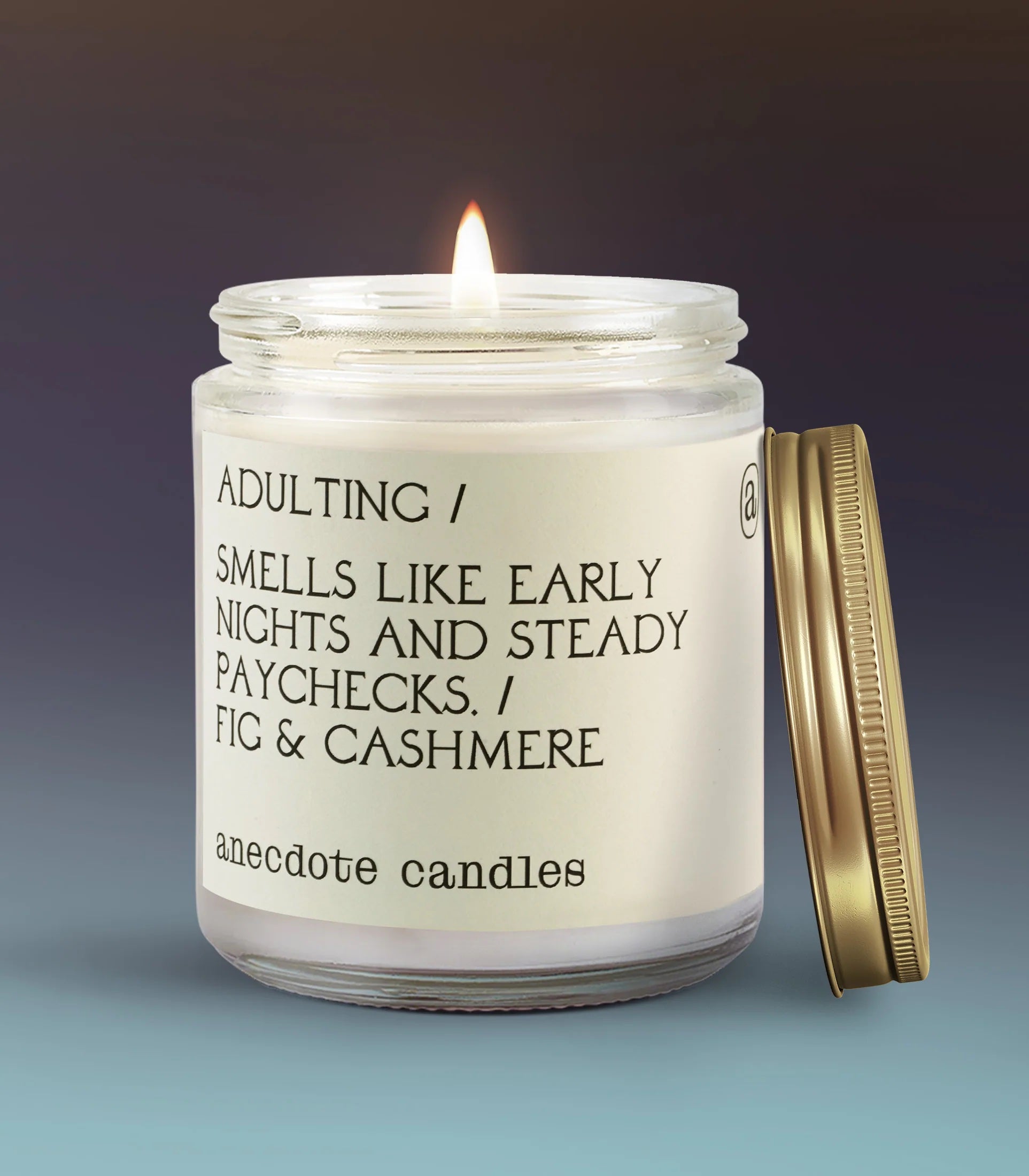 Adulting in Standard Jar - candles photo