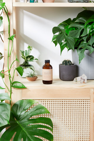 Natural Aged After Shave / Cologne Organic Bay Woodsy / Men’s Natural Organic After Shave in - Face photo