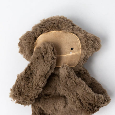 Slumberkins Bigfoot Snuggler Plush Toy & Board Book