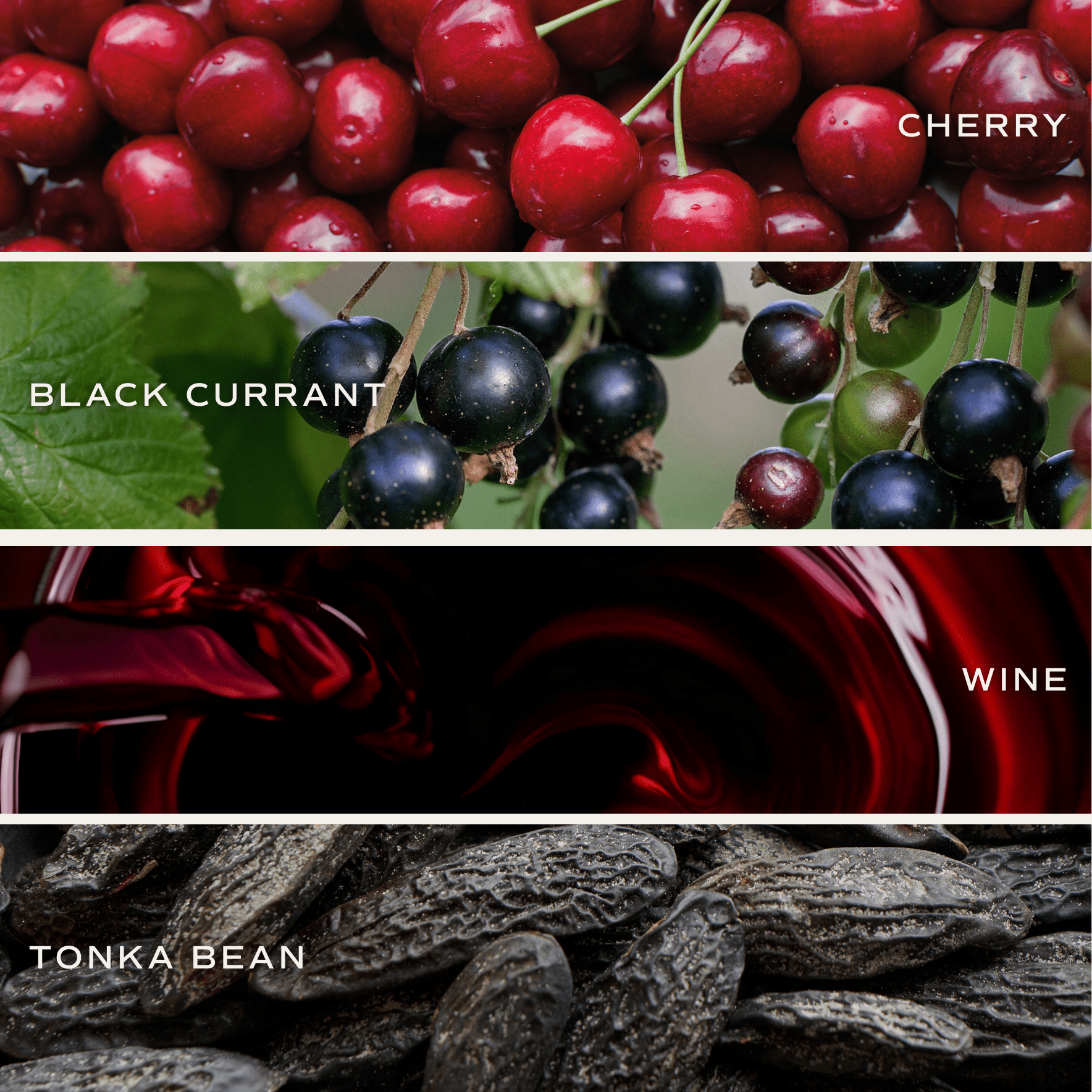Blackwood Cherry Soy Candle - White Jar - 11 oz in - Candles photo