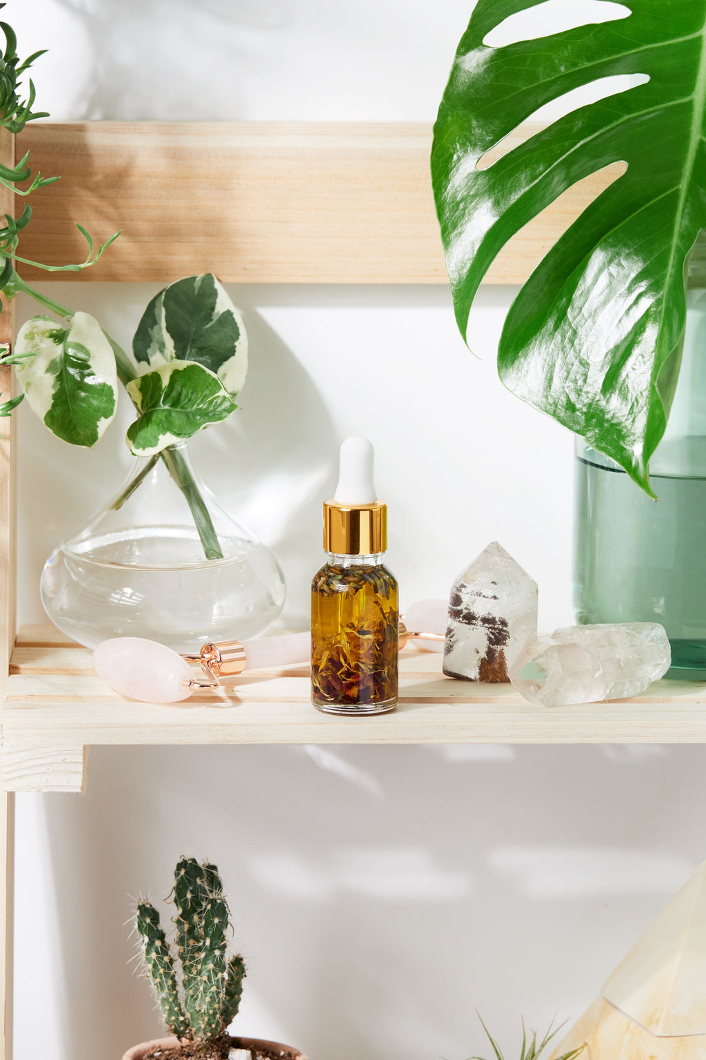 Anti Aging / Youth Serum / Facial Serum / Butter Me Up Organics / Botanical Serum / Herbal Oil / Fine Lines / Wrinkles / Face Oil Organic in - Face photo
