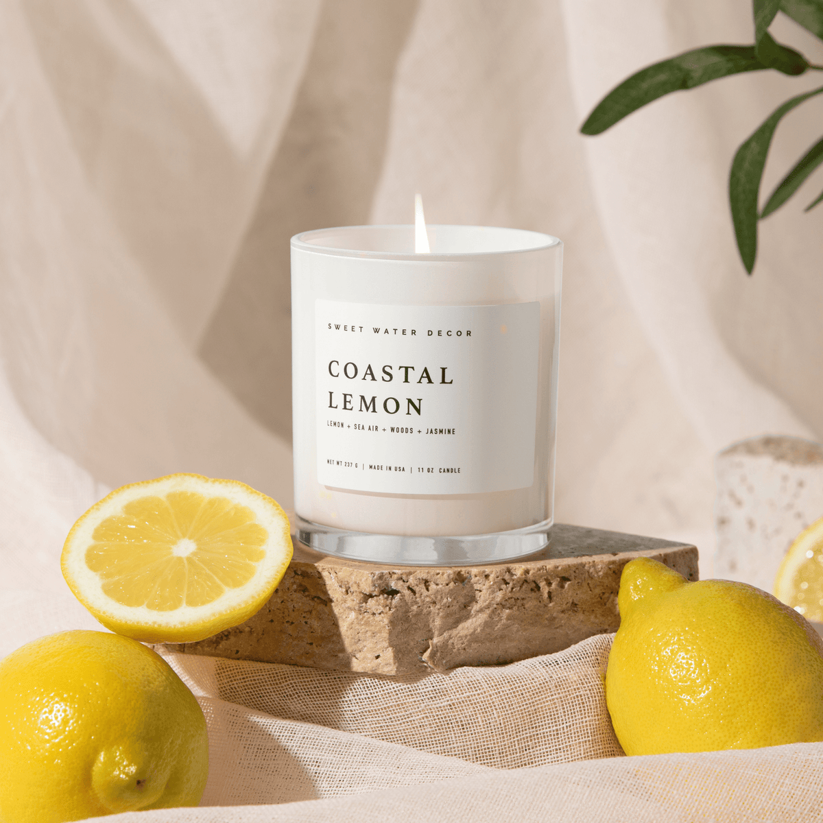 Coastal Lemon Soy Candle - White Jar - 11 oz in - Candles photo