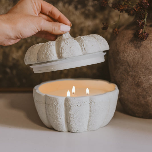 Cashmere and Vanilla Soy Candle - Cement Pumpkin Jar - 13.5 oz in - Candles photo