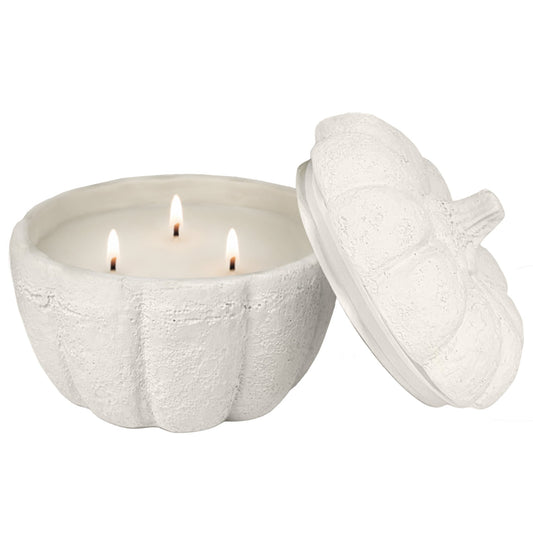 Cashmere and Vanilla Soy Candle - Cement Pumpkin Jar - 13.5 oz in - Candles photo