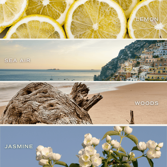 Sweet Water Decor Coastal Lemon Clear Reed Diffuser in - Reed Diffusers photo