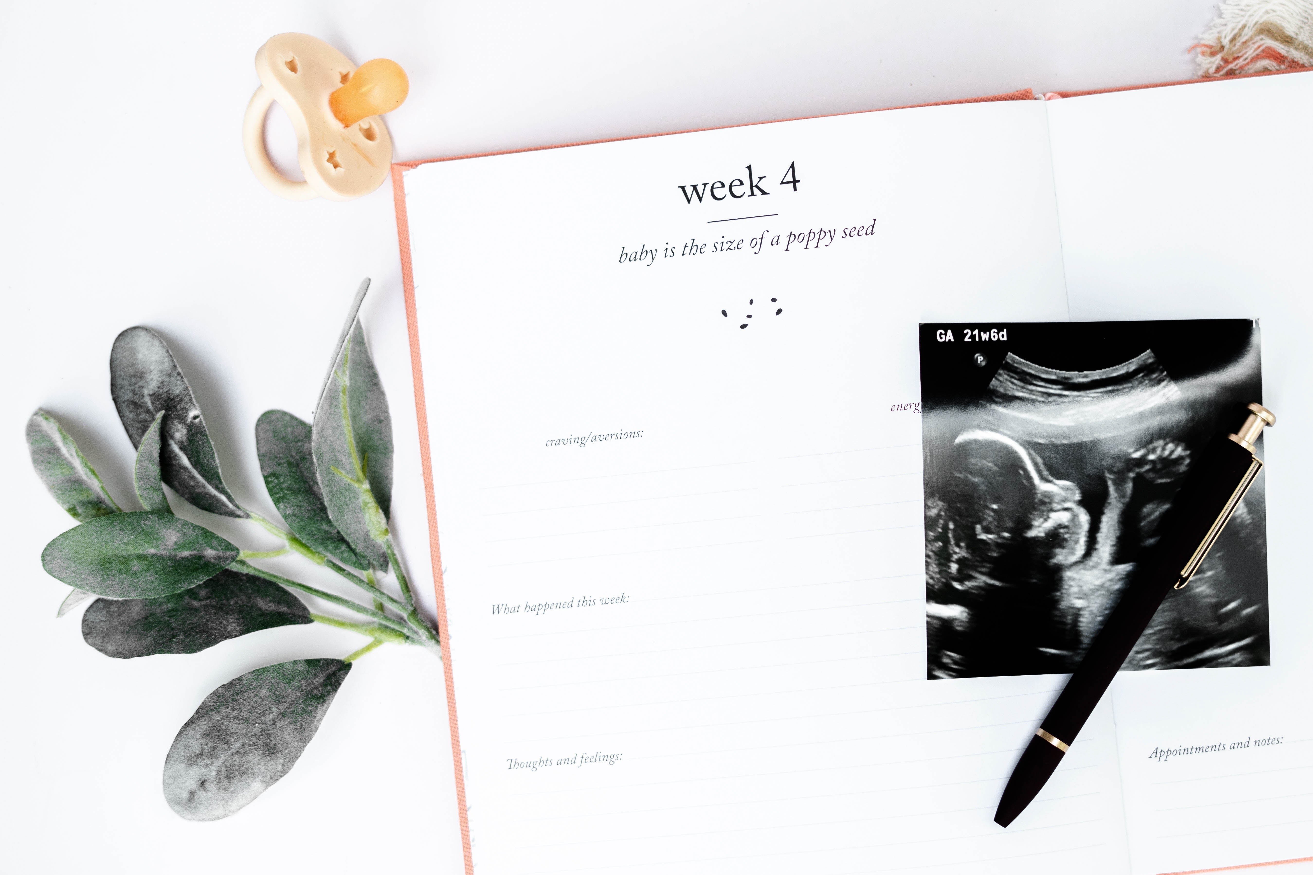 Duncan & Stone Co. Pregnancy Journal