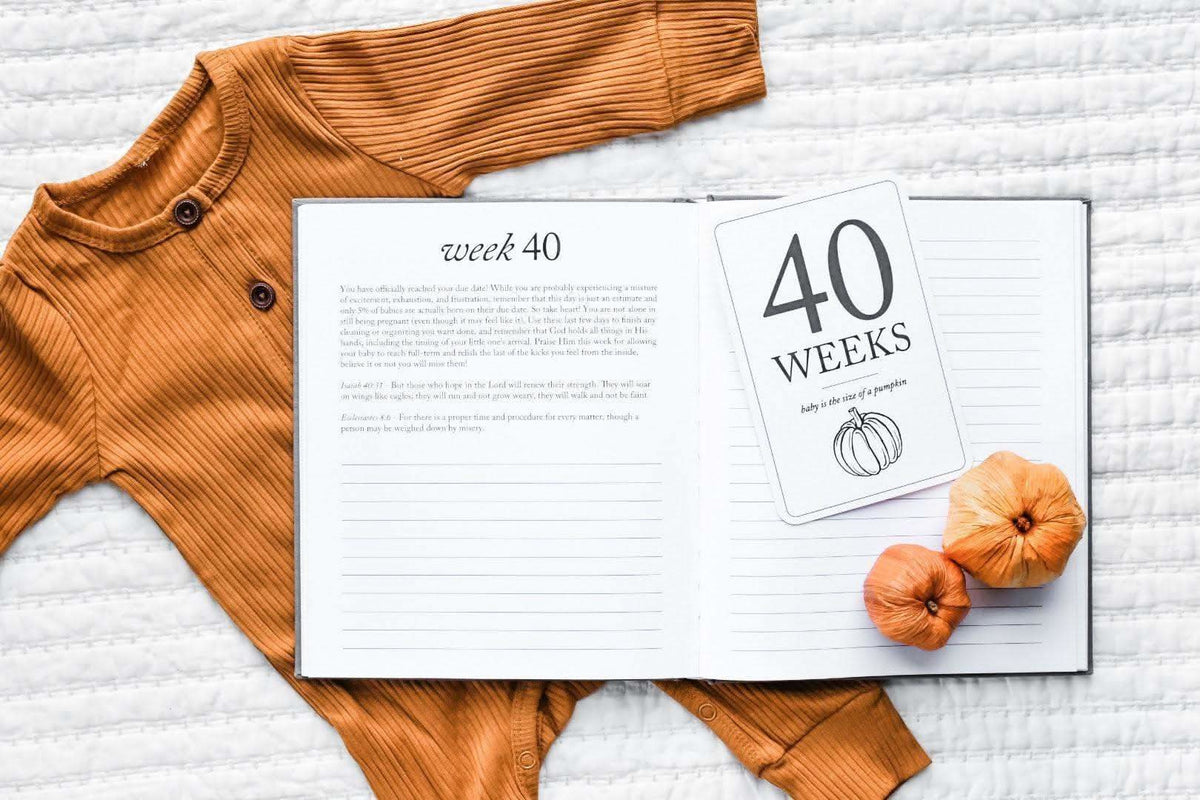 Duncan & Stone Pregnancy Gift Bundle in Ivory Journal + Milestone Cards - photo