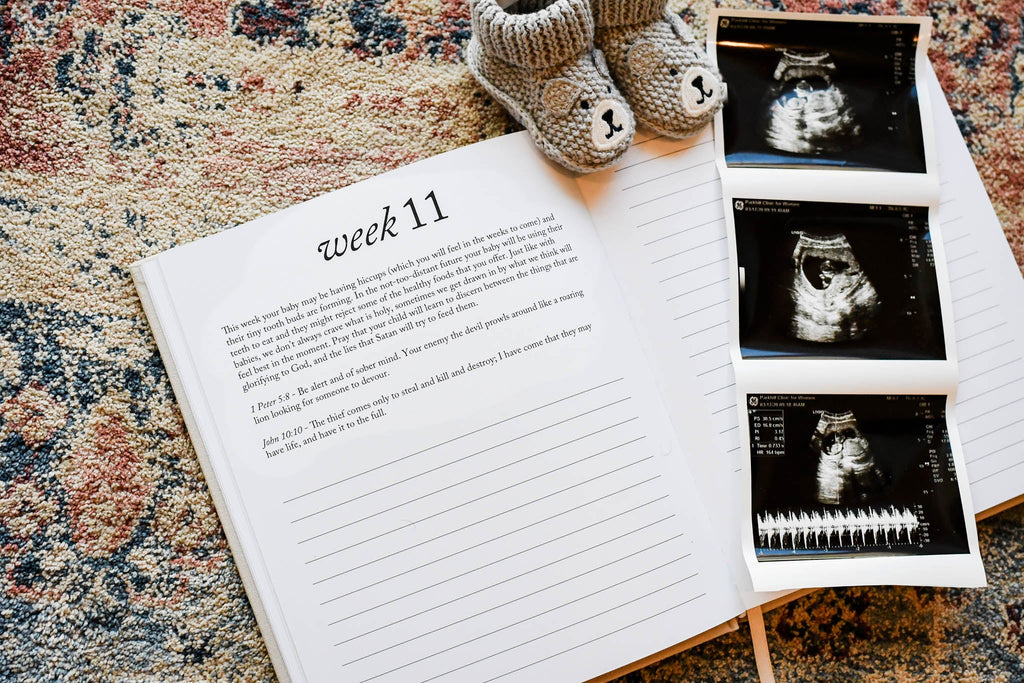 Duncan & Stone Dear Baby: Pregnancy Prayer Journal in - Journal photo