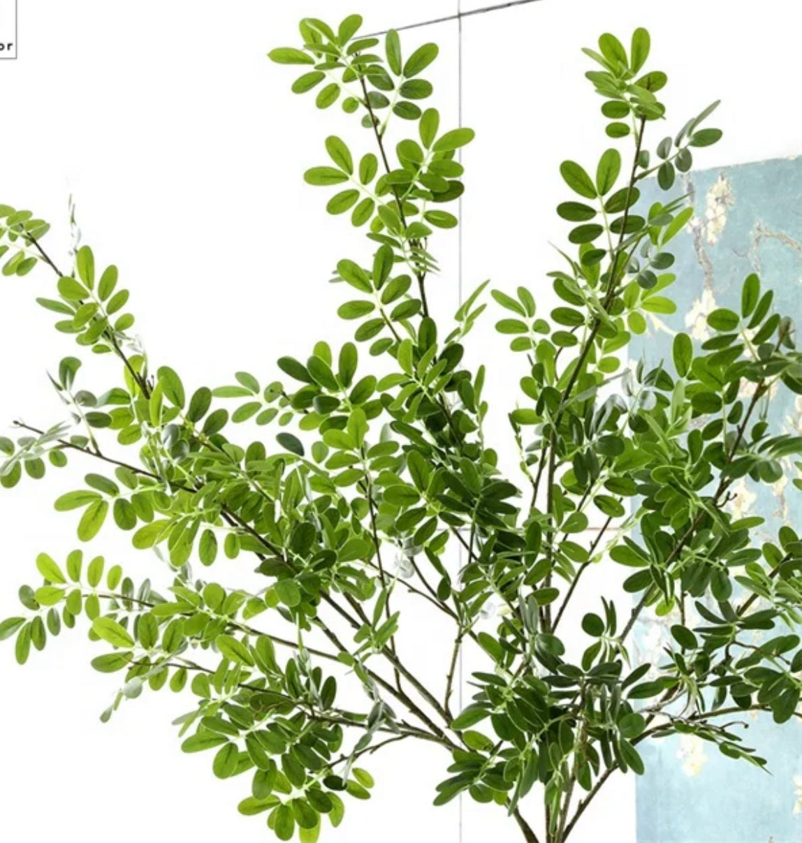 Artificial Boxwood Stems - Bundle of 4 in - Florals photo