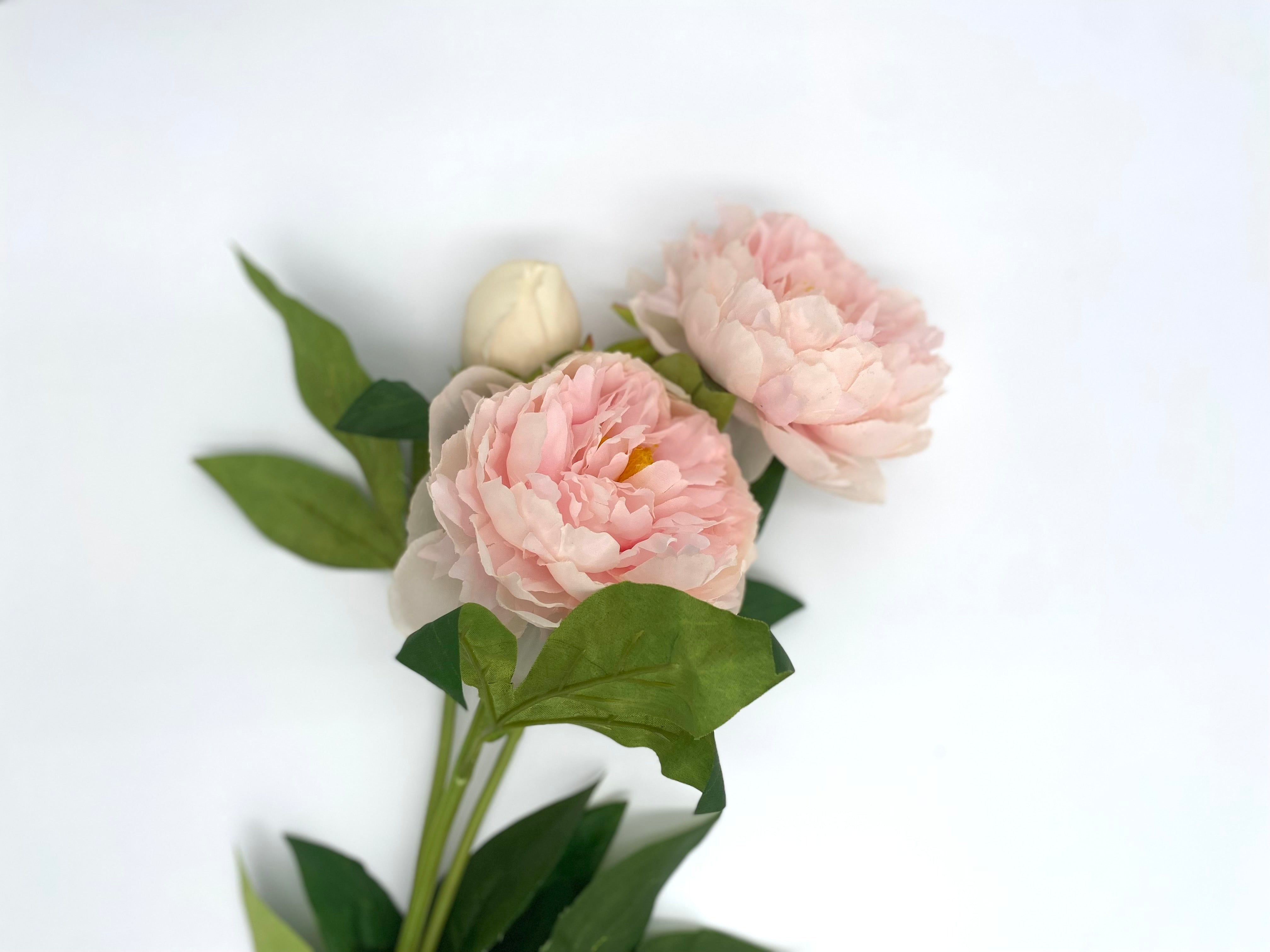 Realistic Artificial Peony - Bundle of 3 in - Florals photo