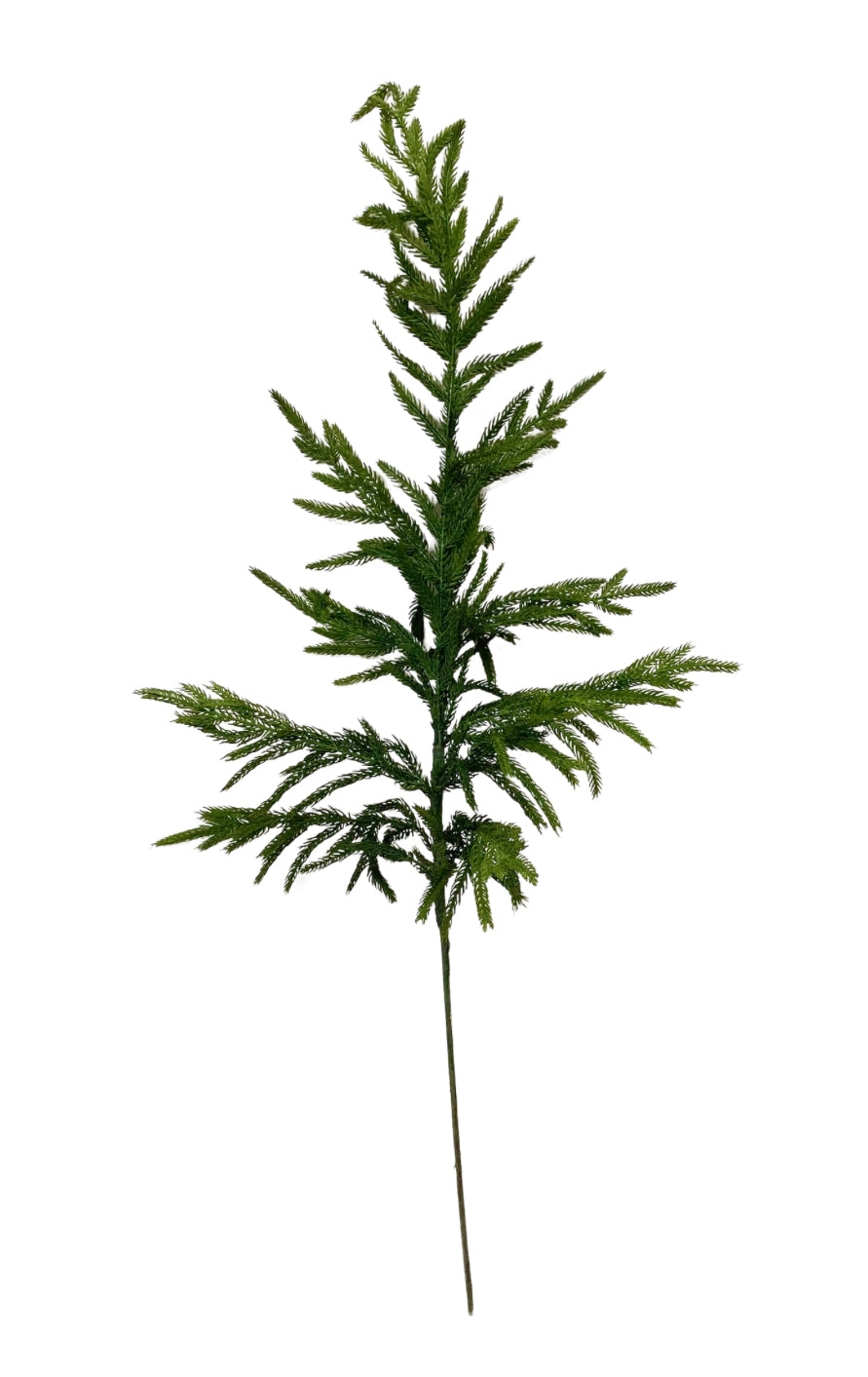 Artificial Real Touch 36” Norfolk Pine Stems - Bundle of 4 in - Florals photo