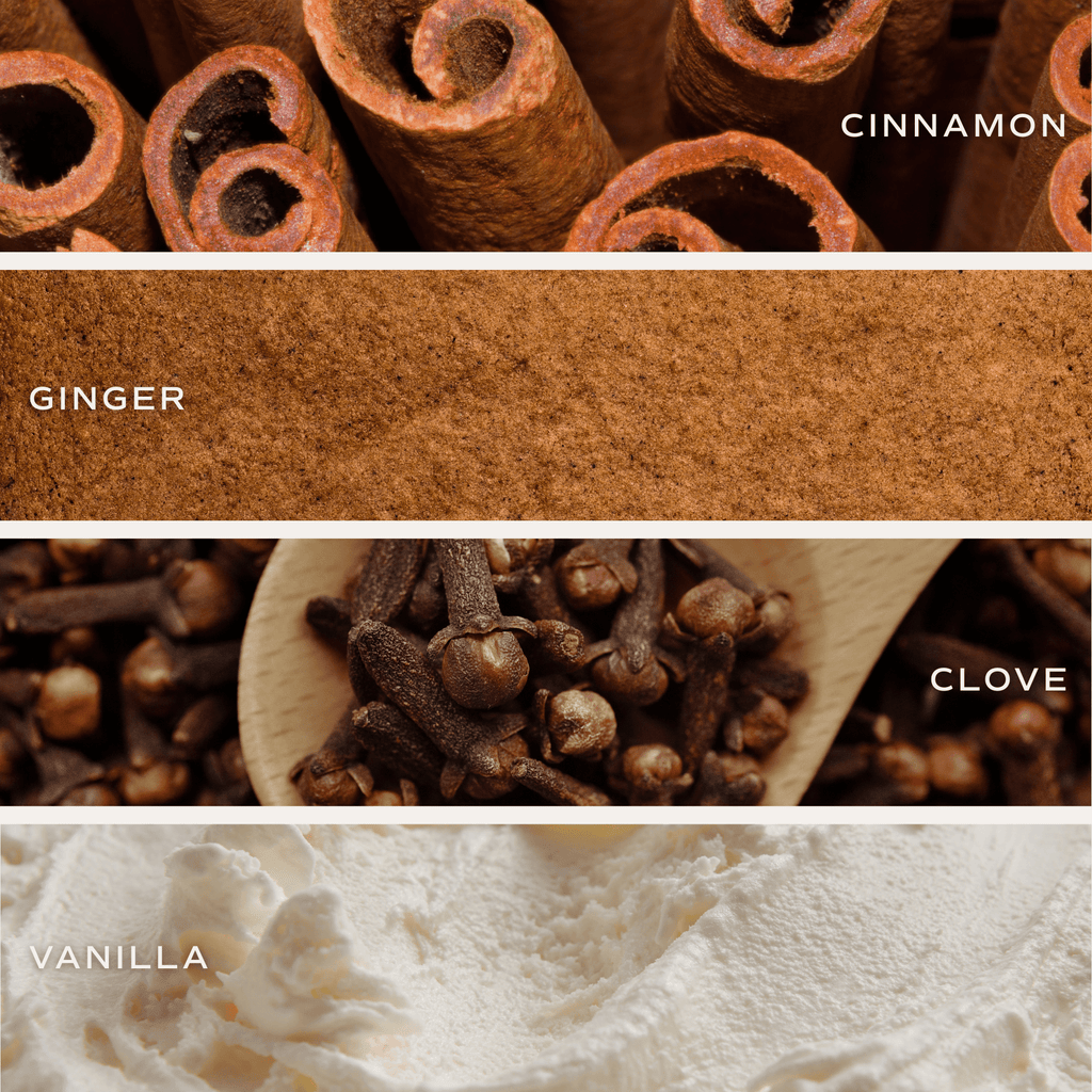 Gingerbread and Spice Soy Candle - White Jar - 11 oz - SwagglyLife Home & Fashion