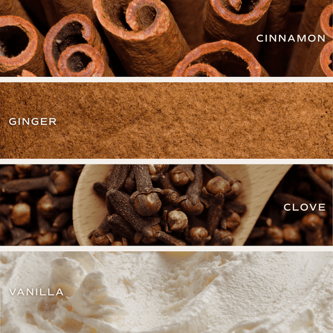 Gingerbread and Spice Soy Candle - White Jar - 11 oz - SwagglyLife Home & Fashion