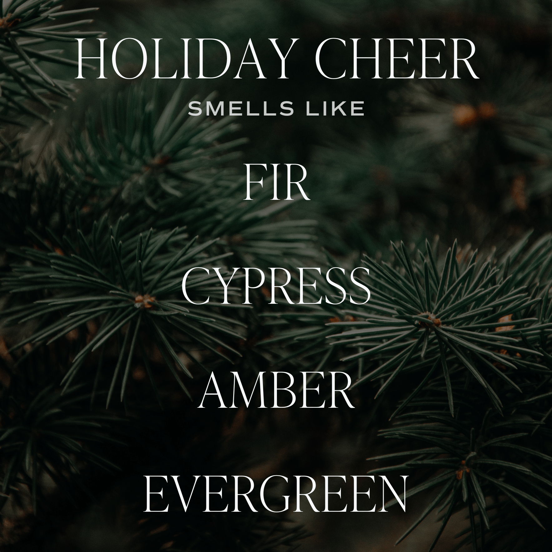 Holiday Cheer Soy Candle - 9 oz Patterned Clear Jar