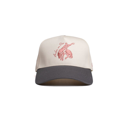 The Andar or Die Hat in Slate - Goods photo