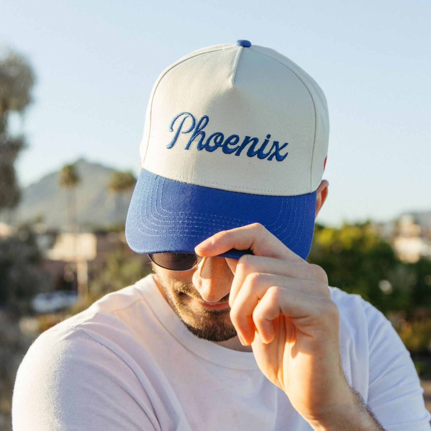 The Phoenix Hat in - Goods photo