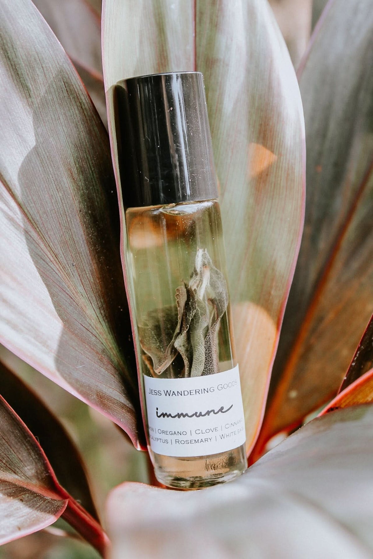 Immune Herbal Roller in - Essential Roller photo