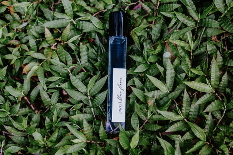 Blue Flower Perfume Roller in - Perfume photo