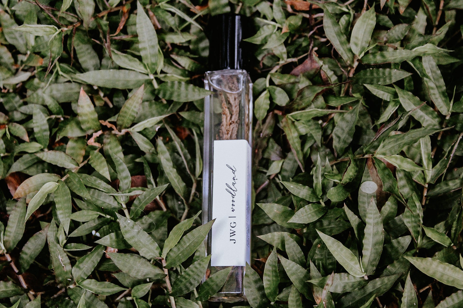 Woodland Perfume Roller in - Perfume photo