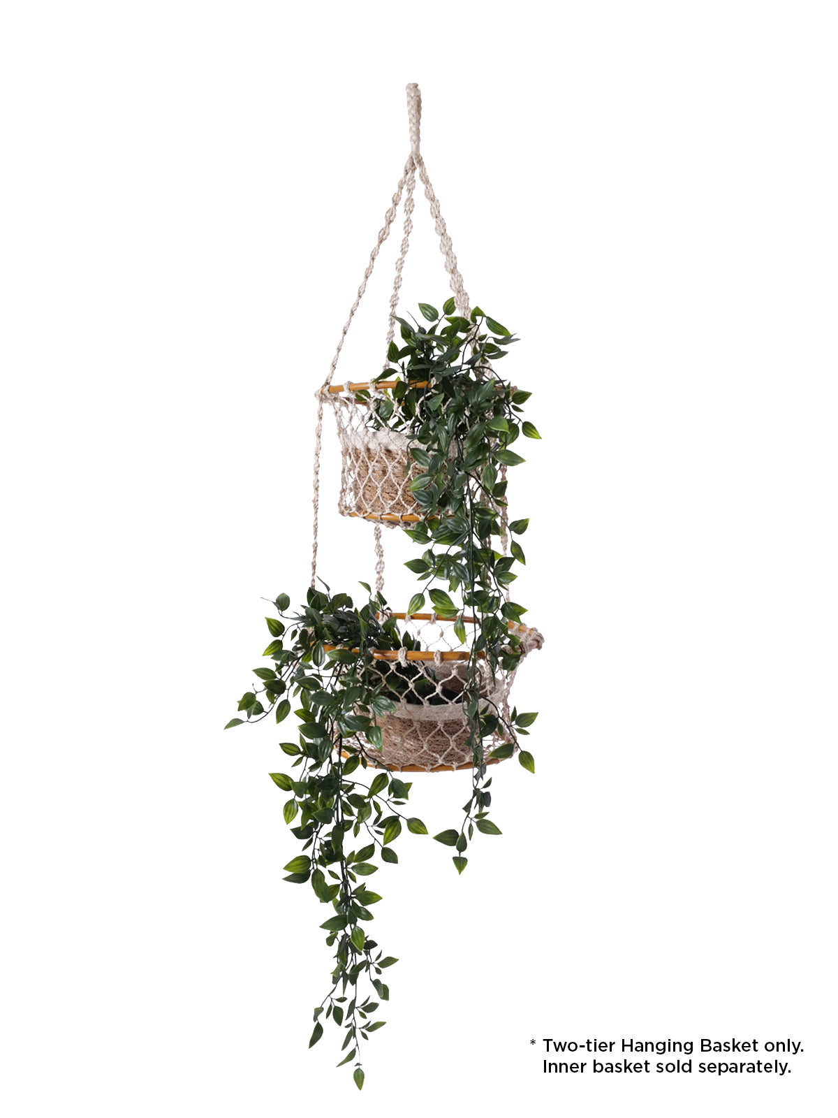 Jhuri Double Hanging Basket in - PLANT DECOR photo